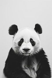 Panda en noir et blanc