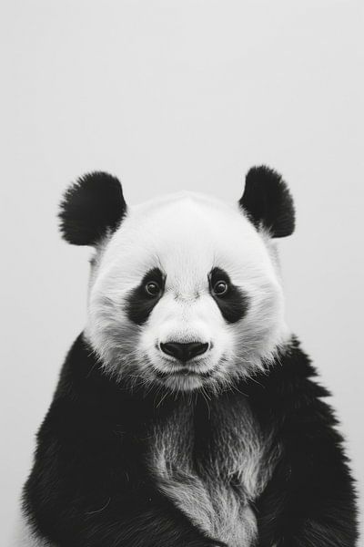 Panda in Schwarz-Weiß von Poster Art Shop