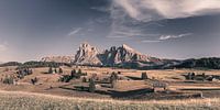 Alpe di Siusi, South Tyrol, Italy by Henk Meijer Photography thumbnail