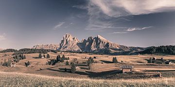 Alpe di Siusi, Zuid-Tirol, Italië van Henk Meijer Photography