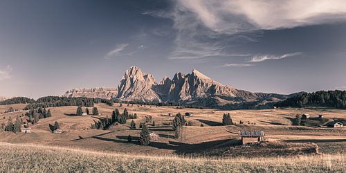 Alpe di Siusi, Tyrol du Sud, Italie