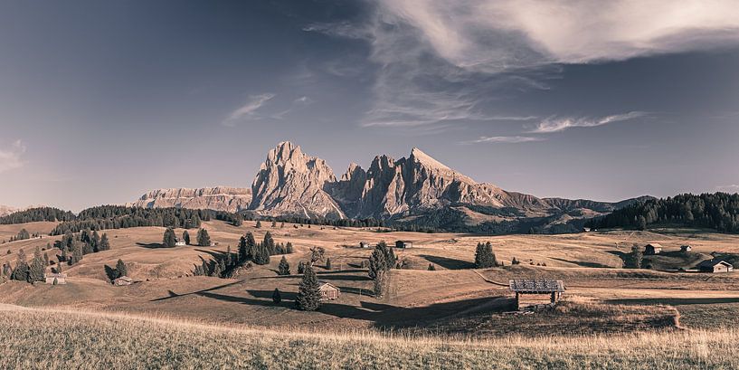 Alpe di Siusi, South Tyrol, Italy by Henk Meijer Photography