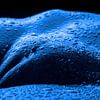 nu féminin érotique en bleu sur Jörg B. Schubert