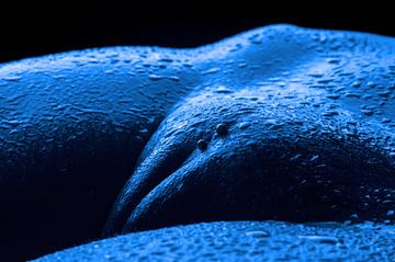 erotischer, weiblicher Akt in blau von Jörg B. Schubert