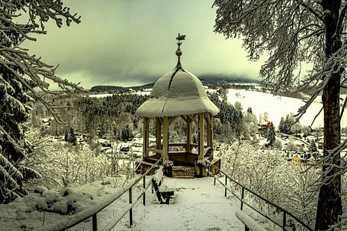 Buchholz in de sneeuw 1