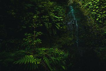 Randonnée à Madère