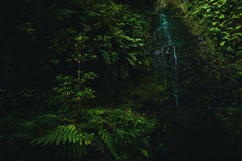 Wandern durch Madeira von JNphotography