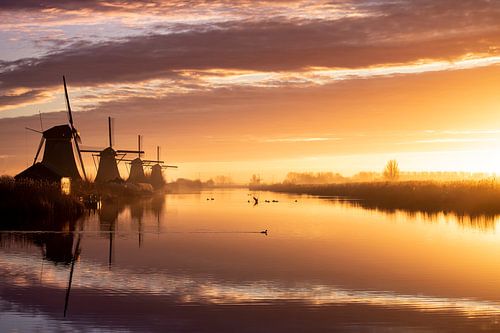 Holländische Träume