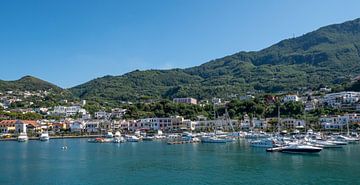 Hafen von der Insel Ischia in Italien von Animaflora PicsStock