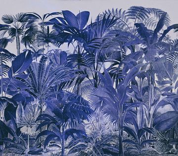 Blue Midnight Jungle by Andrea Haase