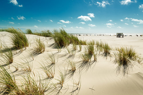 Amrum beach
