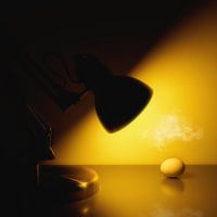 Bureaulamp met ei
