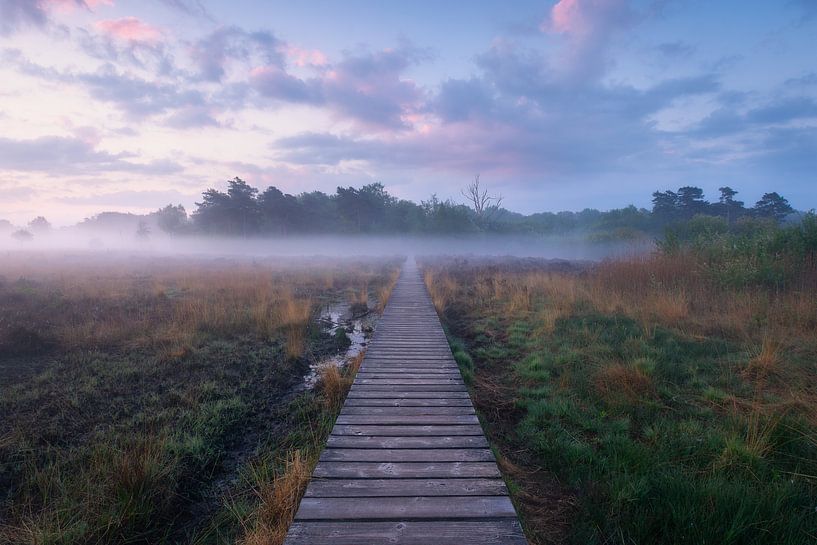 Mystic Path van Arnoud van de Weerd