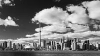 Toronto Skyline in black and white by Henk Meijer Photography thumbnail