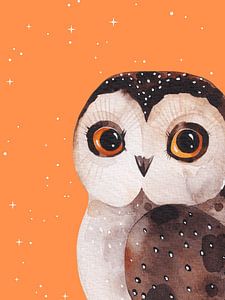 Hibou avec étoiles