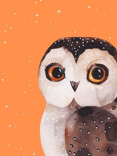 Uil met sterren