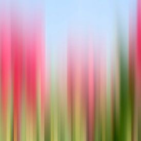 Tulpen Tinktur von Wil van der Velde/ Digital Art