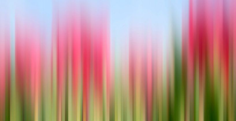 Teinture de tulipe par Wil van der Velde/ Digital Art