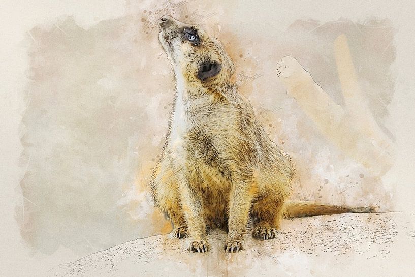 Erdmännchen von Bert Quaedvlieg