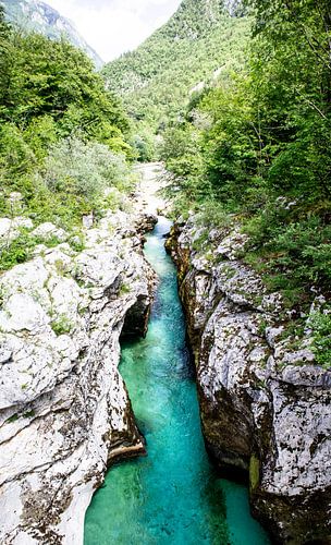 De bergen van Slovenië
