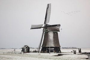 Holländische Windmühle in einer Winterlandschaft