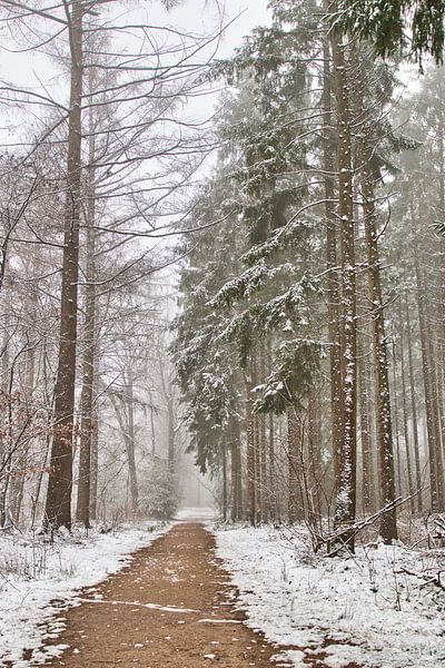 A picture! by Henrico Fotografie