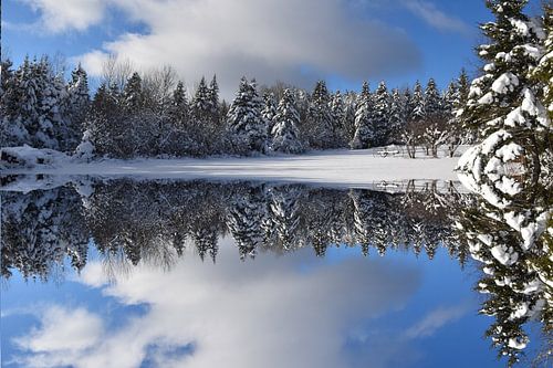 Winterse reflectie op het meer