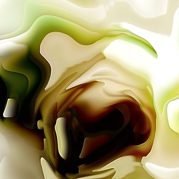 Hard and extremely soft contours from the garden by Andreas Wemmje