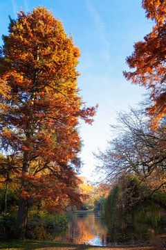 Herfsttooi sur Jan van der Knaap