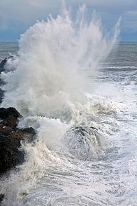 Wildes Meer in Island