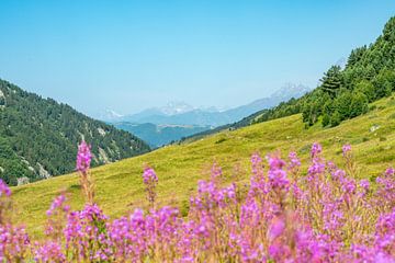 Uitzicht op de bergen van Ushba bij Mestia in Georgië van Leo Schindzielorz