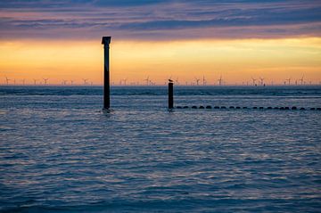 Westkapelle zonsondergang van MSP Canvas