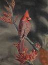 Cardinal rouge par sabrina van lijsdonk Aperçu
