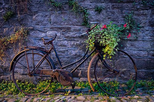 Women's bicycle with Geraniums in Durbuy, Belgium