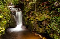 Waterval herfst van Charlotte Bakker thumbnail