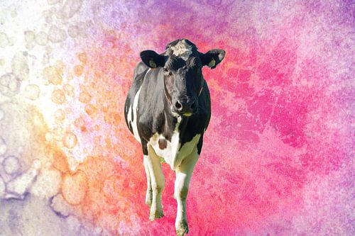 kleurrijke koe