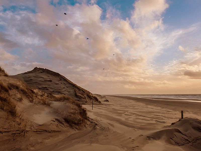 De bulten en de birds by Anneriek de Jong