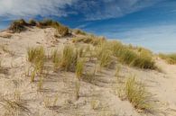 Nederlandse duinen van Menno Schaefer thumbnail