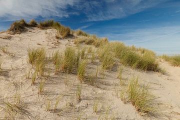 Nederlandse duinen van Menno Schaefer