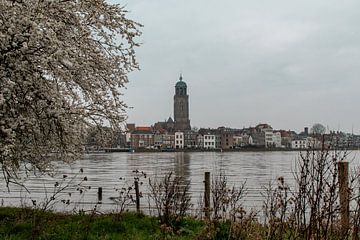 Lebuïnuskerk aan de IJssel, Deventer van Ingrid Aanen