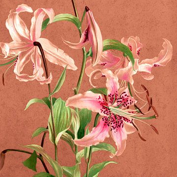 Lilies flowers in warm colors by Mad Dog Art