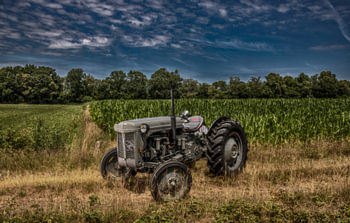 Tracteur Ferguson