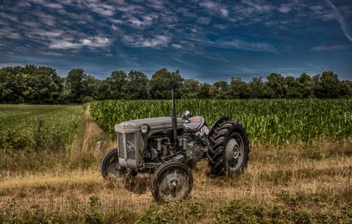 Ferguson tractor