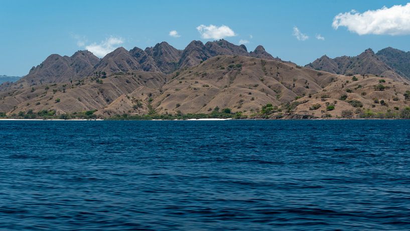 Rinca Island von Bettina Schnittert