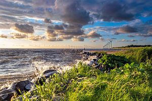 IJsselmeer near Urk