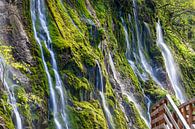 Wasserfall in einer Klamm von Tilo Grellmann Miniaturansicht