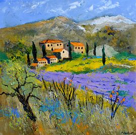 Provence 77910101 von pol ledent