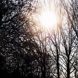 Icy sun by Jan van der Knaap