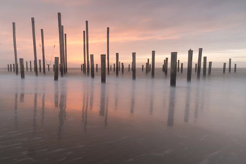 Palendorp bij Petten