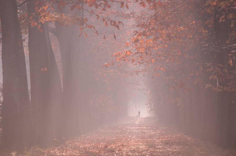 Mastbos Breda by AdV Photography